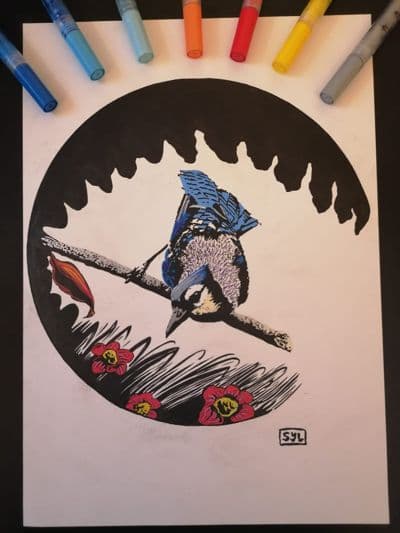 Blue jay